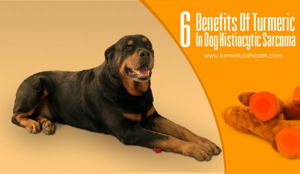 6-benefits-of-turmeric-in-dog-histiocytic-sarcoma