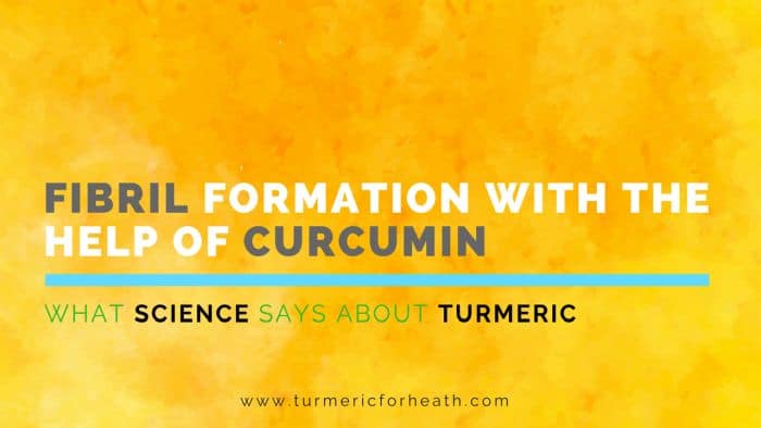 Fibril Formation with the Help of Curcumin