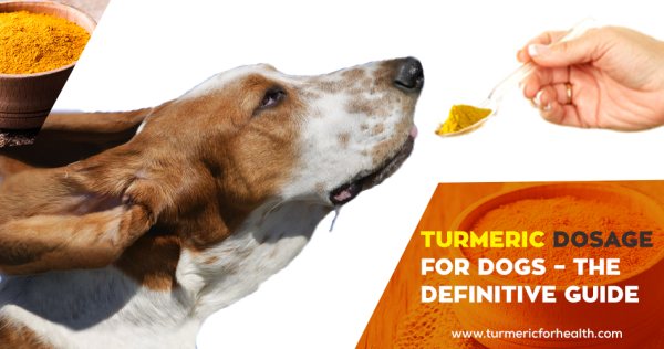 Turmeric Dosage for Dogs – The Definitive Guide