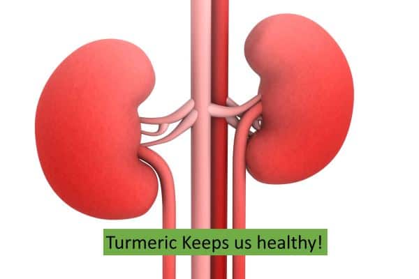 Turmeric for Kidney diseases