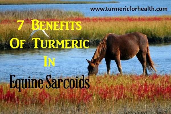 turmeric sarcoids featured