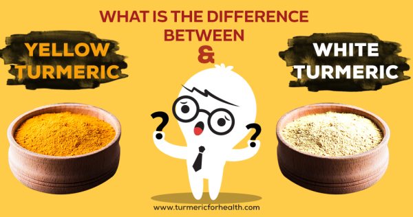 What Is The Difference Between Yellow Turmeric & White Turmeric