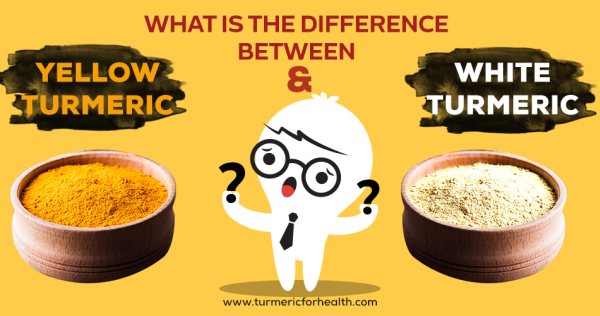 What Is The Difference Between Yellow Turmeric & White Turmeric