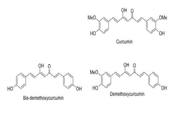 curcuminoids