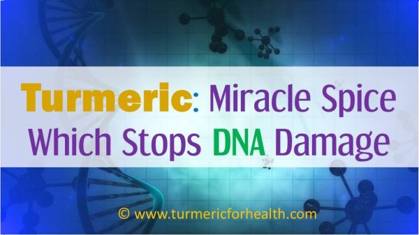 turmeric for DNA damage