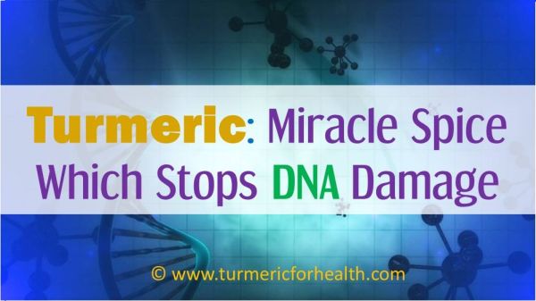 turmeric for DNA damage