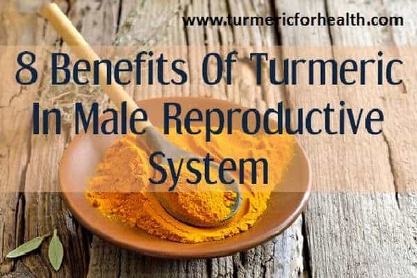 turmeric male reproductive system