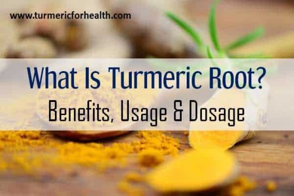 what is turmeric root